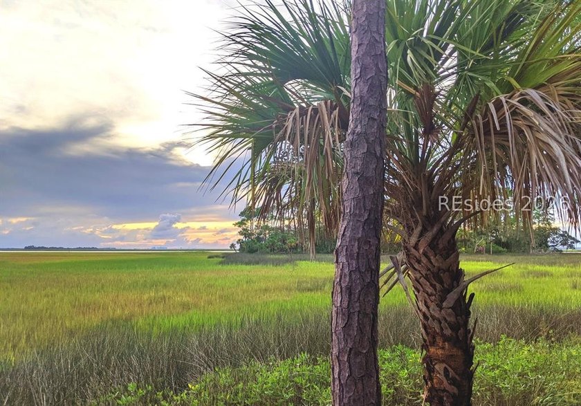 1/3 of an acre on Daufuskie Island with No HOA awaits! Live on - photo 9
