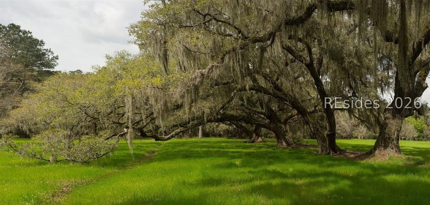 1/3 of an acre on Daufuskie Island with No HOA awaits! Live on - photo 10
