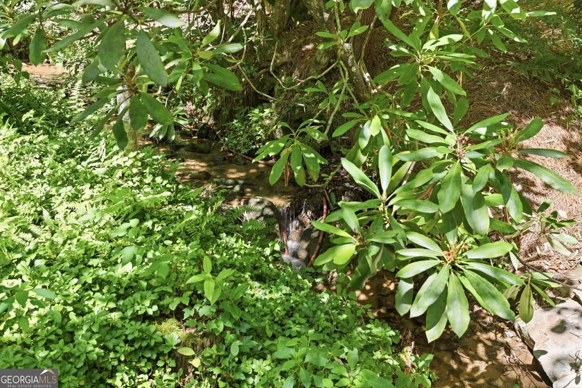 Bordering protected U.S. Forest Land in the heart of the Blue - photo 31