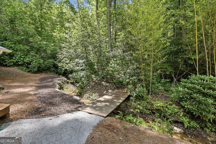 Bordering protected U.S. Forest Land in the heart of the Blue - photo 34