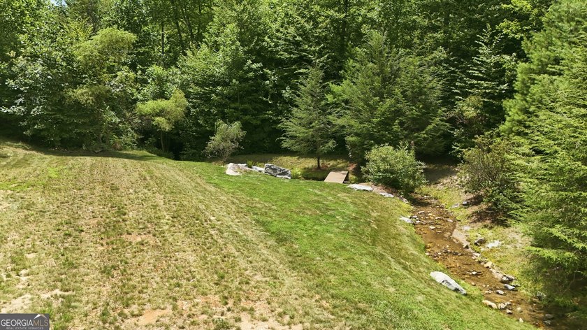 Bordering protected U.S. Forest Land in the heart of the Blue - photo 36
