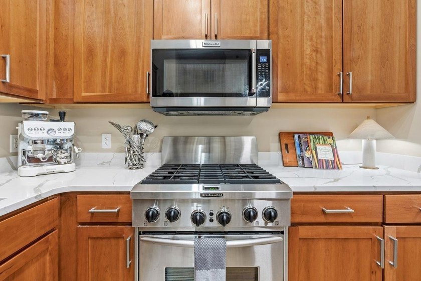 Modern Luxury with European Charm - Fully Updated *Unicorn* Unit - photo 4