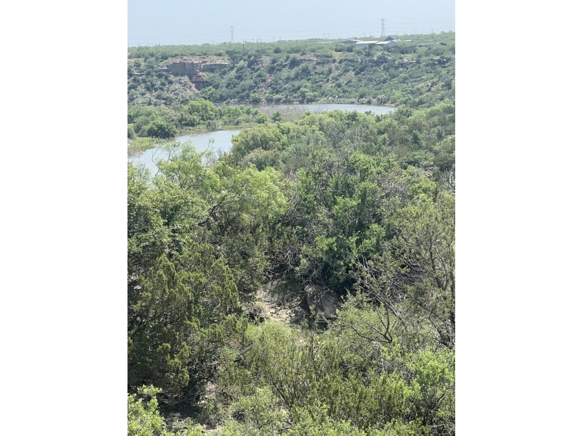 River Front property on Lake Alan Henry, with great place to - photo 3