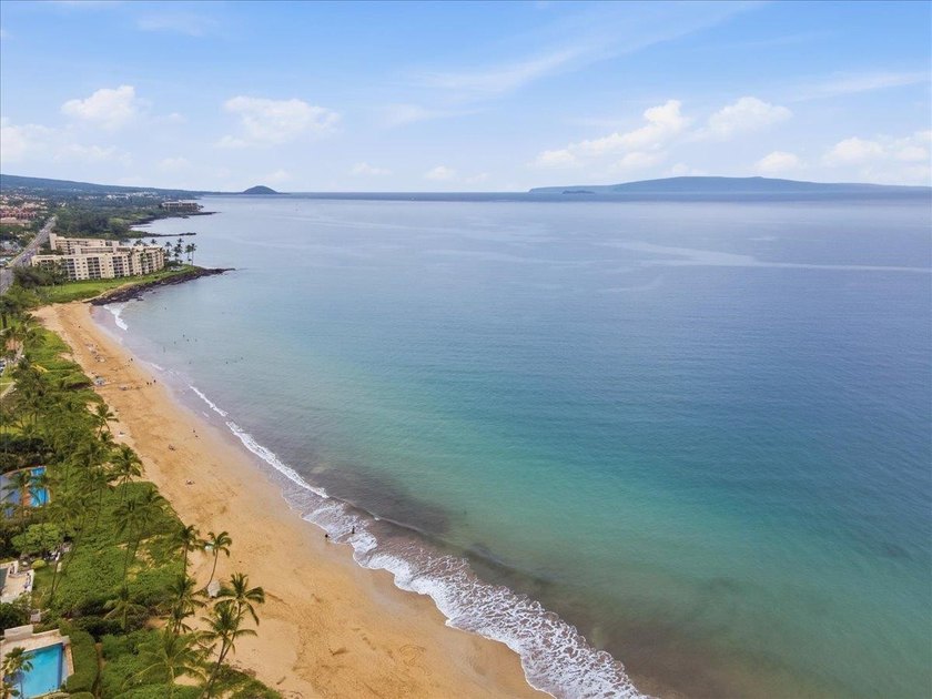 Refined island living awaits in this beautifully upgraded - photo 2