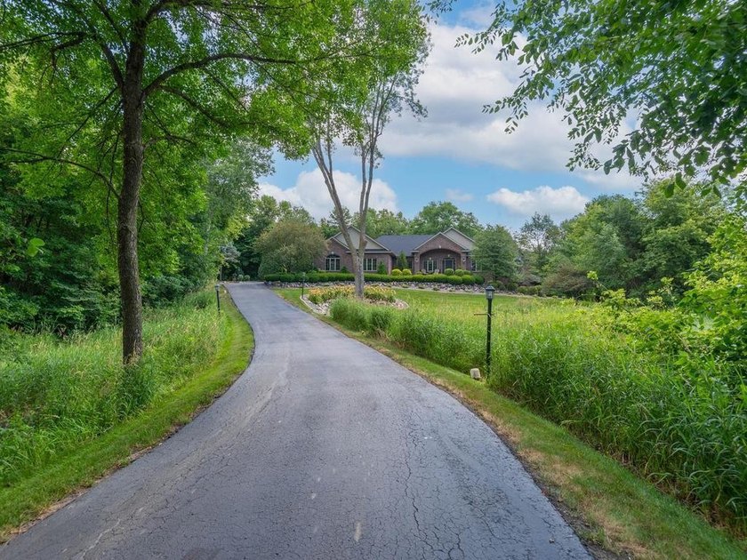 Nestled among mature trees on 2.97 acres in Corcoran's Windmill - photo 5