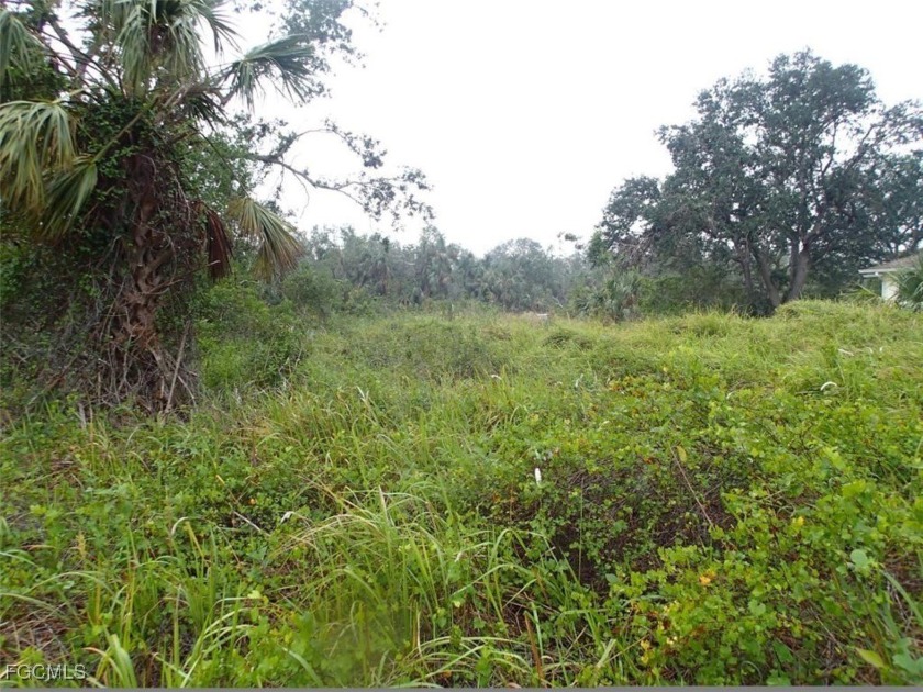 Excellent water front lot on the canal with direct access to the - photo 3