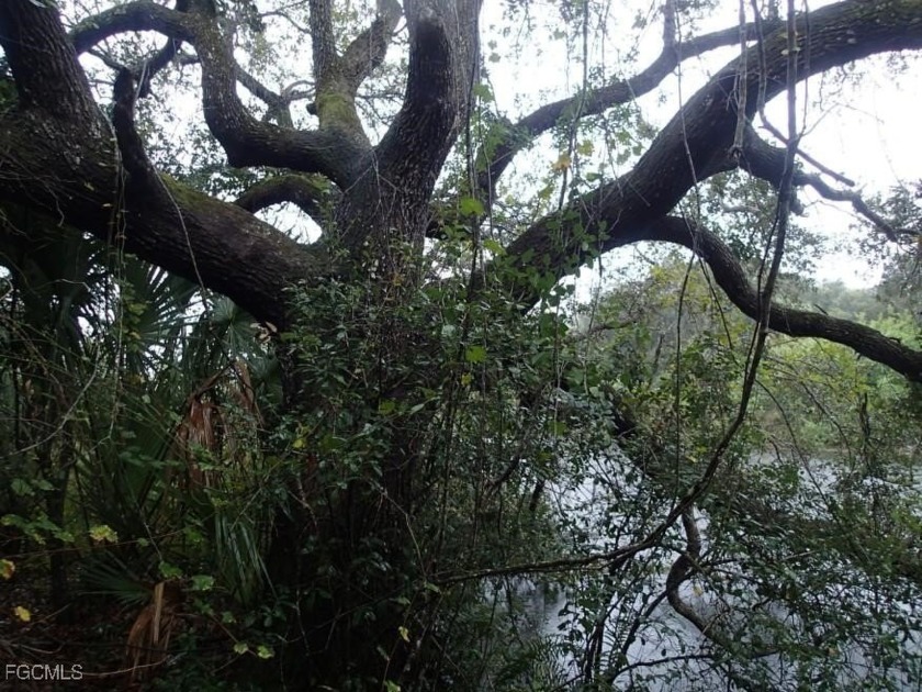 Excellent water front lot on the canal with direct access to the - photo 5