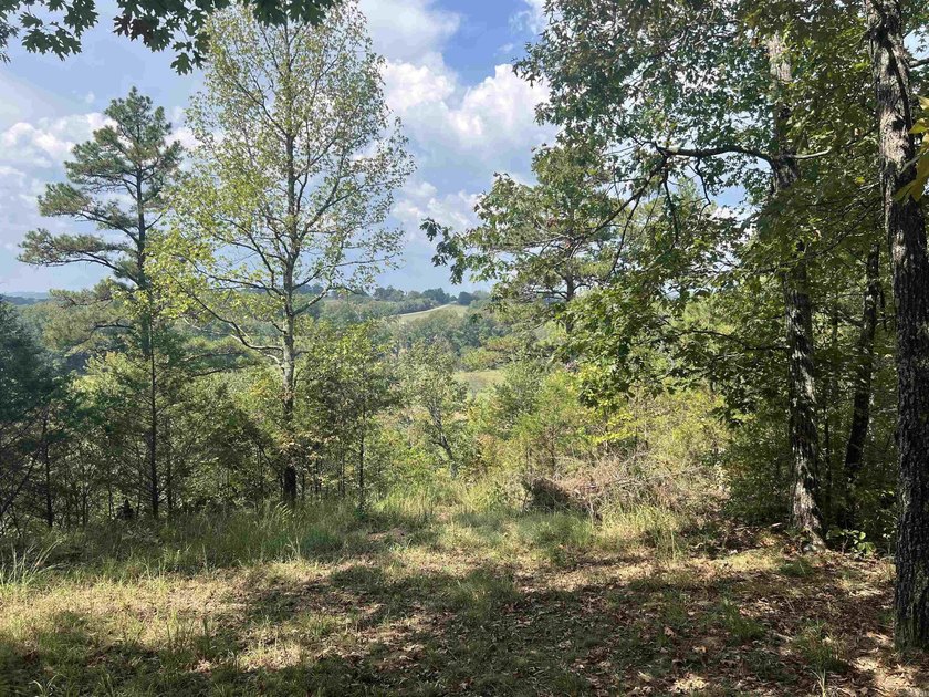 Nestled on 20 beautiful wooded acres, this 3-bedroom, 2-bath - photo 6