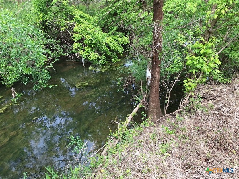 Waterfront - Dry Comal Creek - almost 2 acre lot close to - photo 2