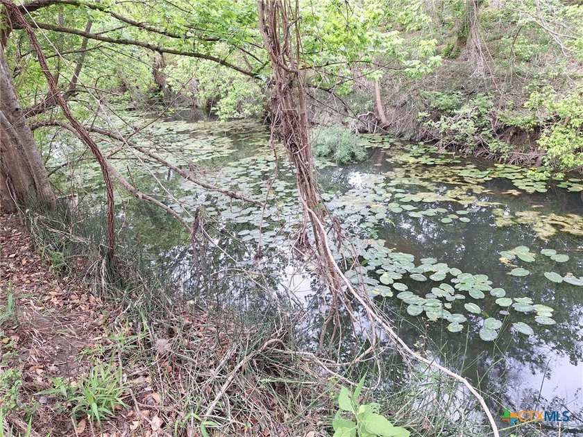 Waterfront - Dry Comal Creek - almost 2 acre lot close to - photo 3