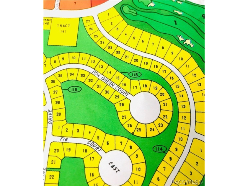 Premium home site in Cypress Village at Sugarmill Woods. Lot 26 - photo 2