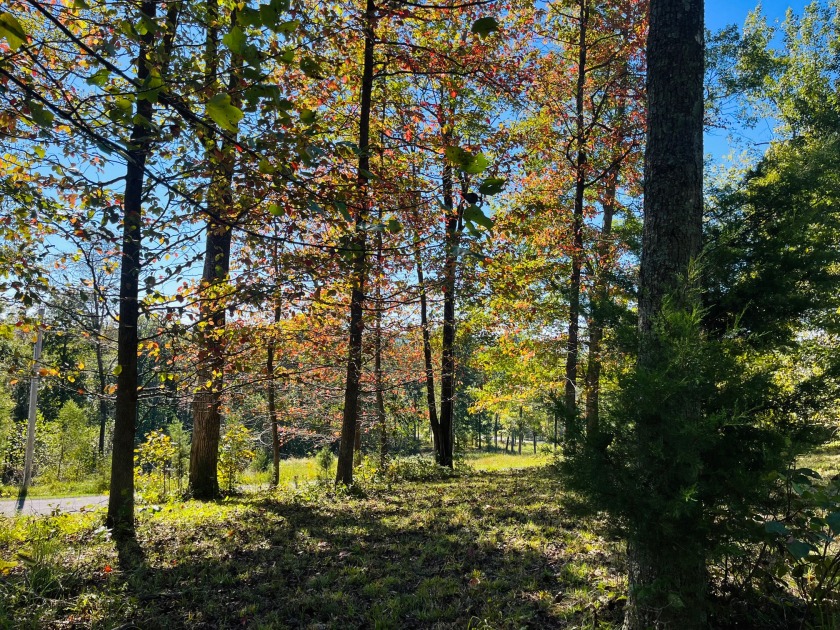 This Stunning Building Lot is Ready for You! - photo 7