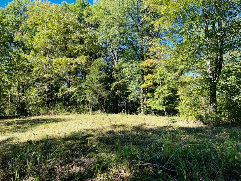 This Stunning Building Lot is Ready for You! - photo 8