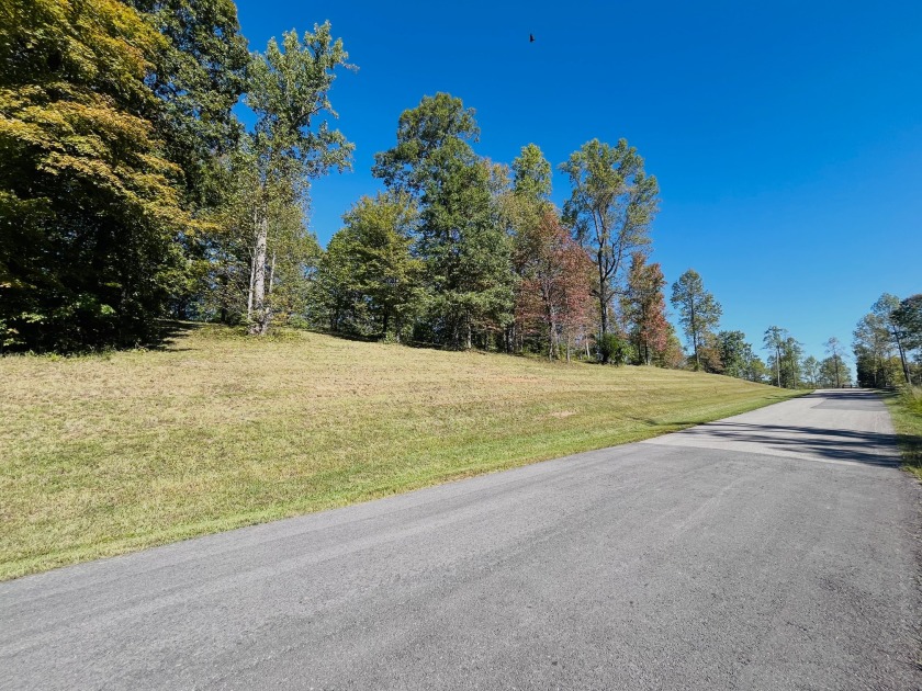 This Stunning Building Lot is Ready for You! - photo 5