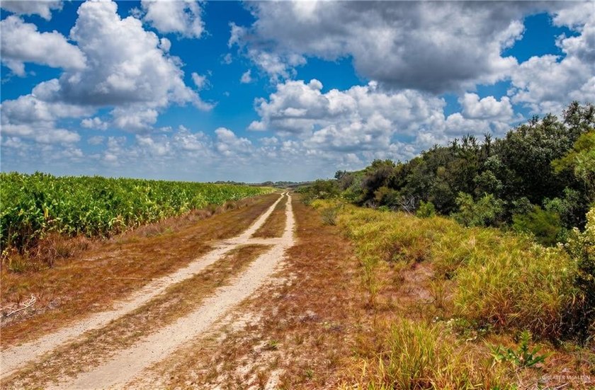 Exceptional 170+/- acre farm in Hidalgo County, with an - photo 8