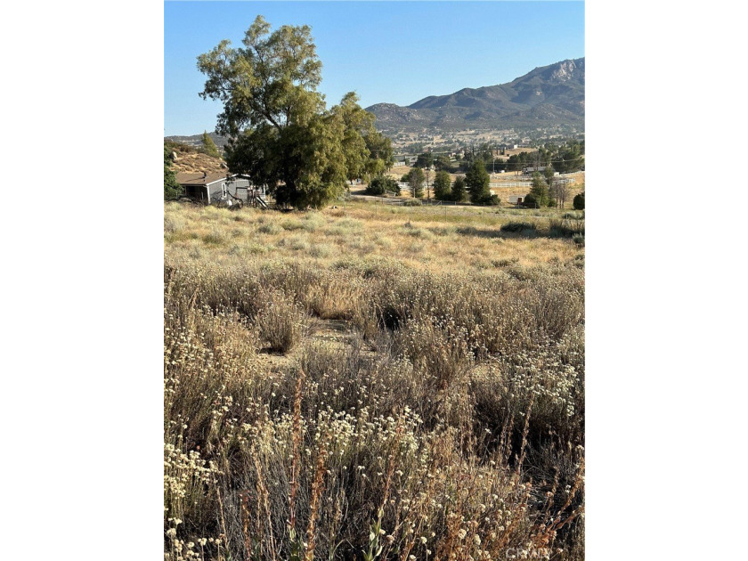 Meadowview Way - photo 2