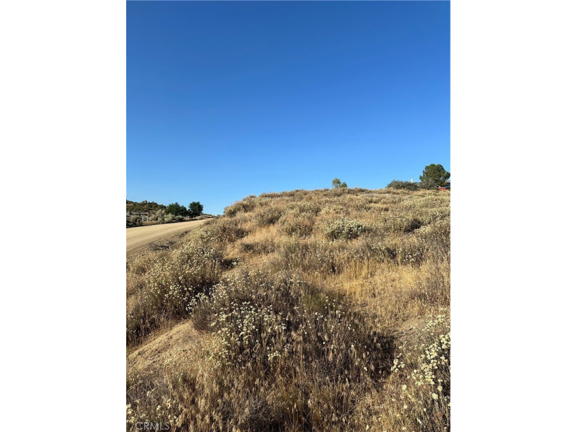 Meadowview Way - photo 10
