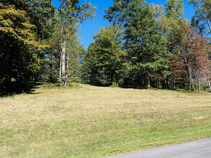 This Stunning Building Lot is Ready for You! - photo 3