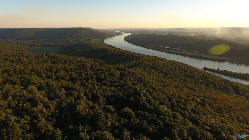 Discover this incredible hunting and recreational tract on Sand - photo 3