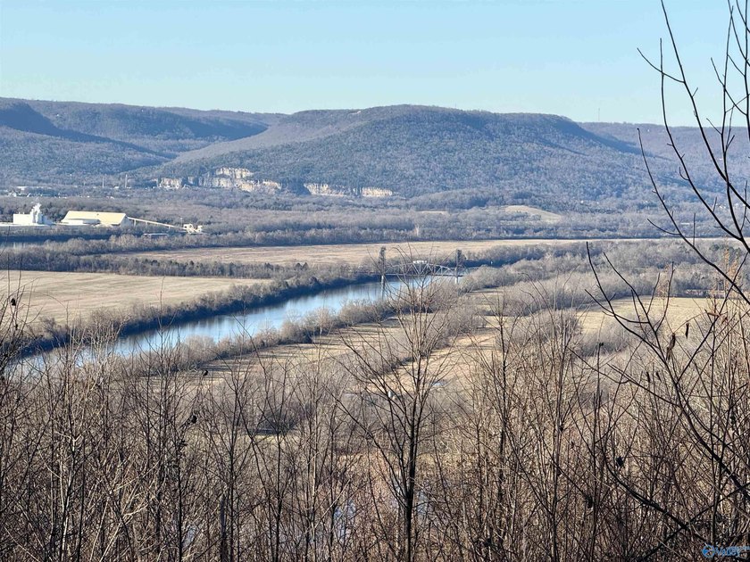 Discover this incredible hunting and recreational tract on Sand - photo 6