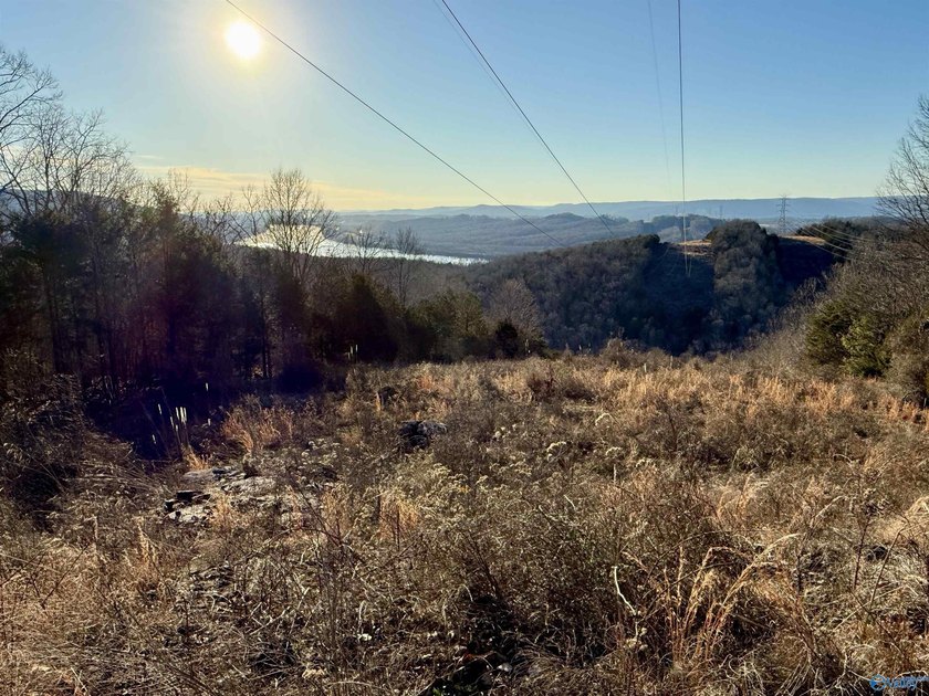Discover this incredible hunting and recreational tract on Sand - photo 8