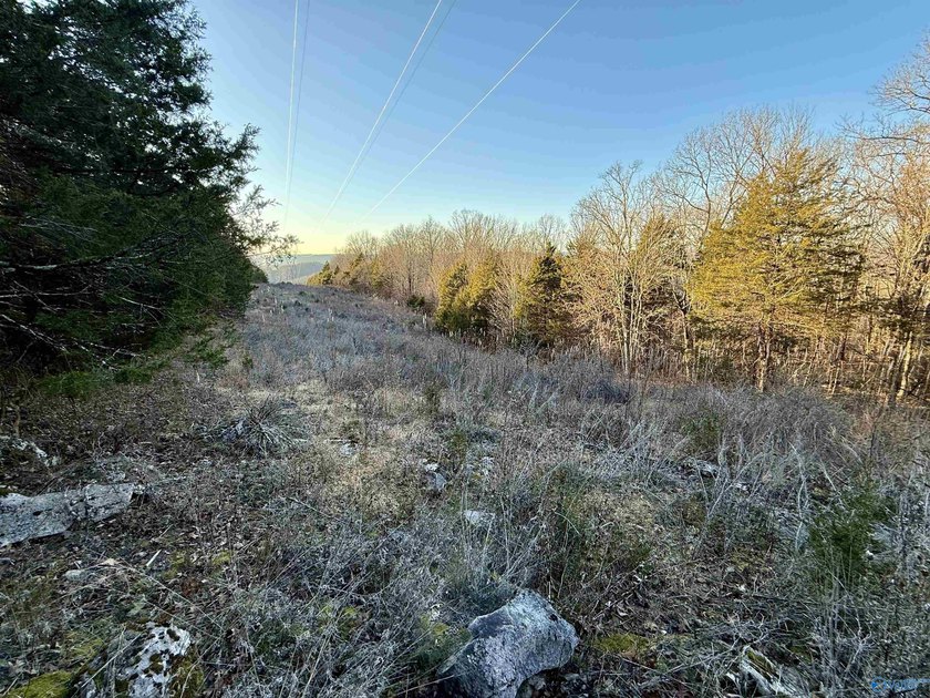 Discover this incredible hunting and recreational tract on Sand - photo 10
