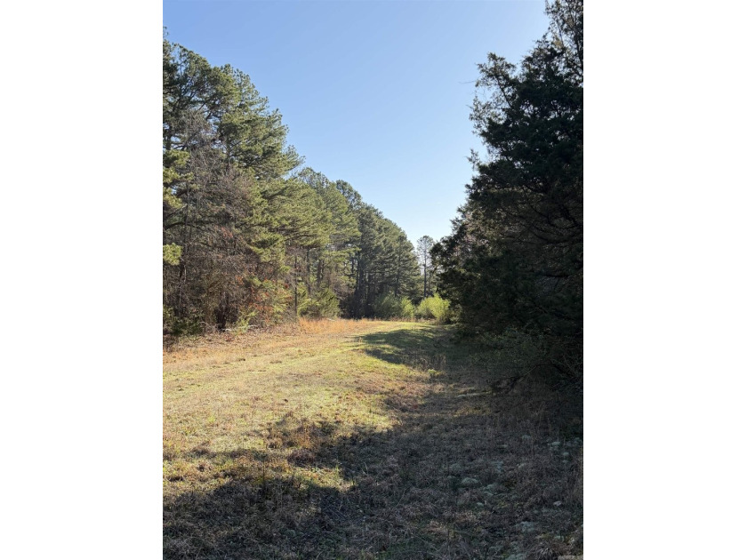Prime Development Opportunity in Heber Springs, AR. Half of an - photo 4
