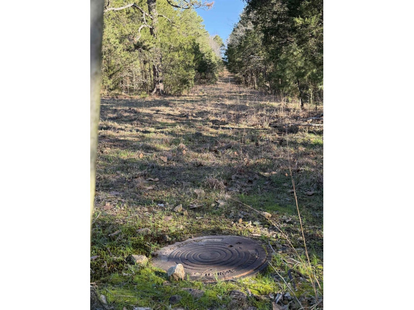 Prime Development Opportunity in Heber Springs, AR. Half of an - photo 5