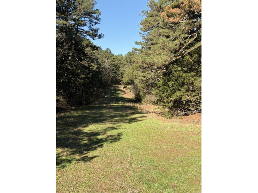 Prime Development Opportunity in Heber Springs, AR. Half of an - photo 6