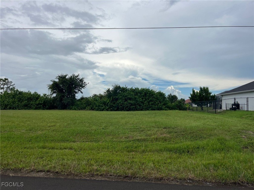 Great FRESHWATER CANAL Lot with SOUTHERN EXPOSURE. - Excellent - photo 4