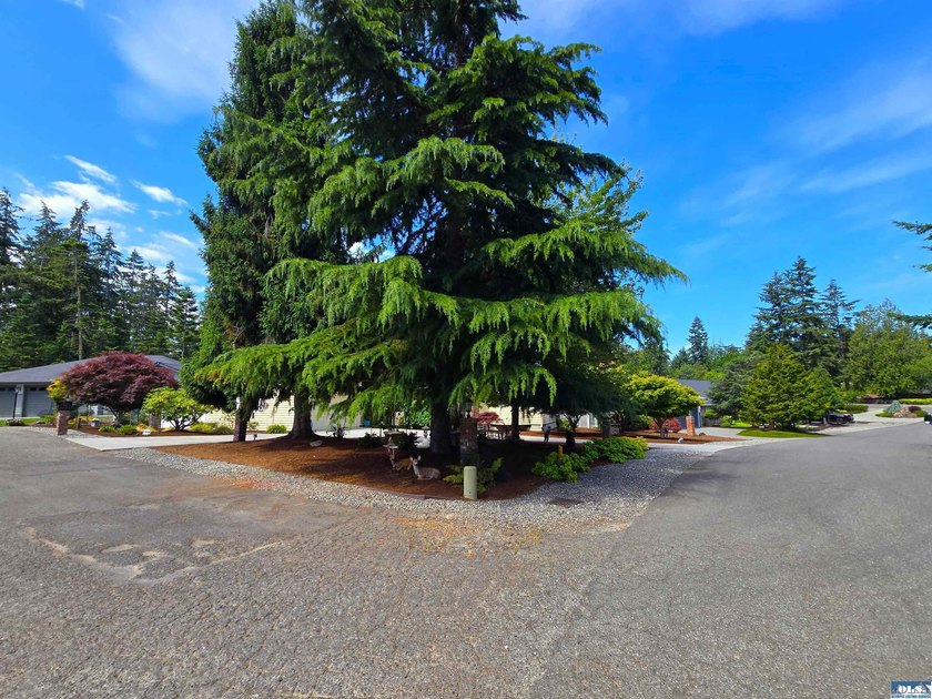 A perfect blend of space and community, this well maintained - photo 29