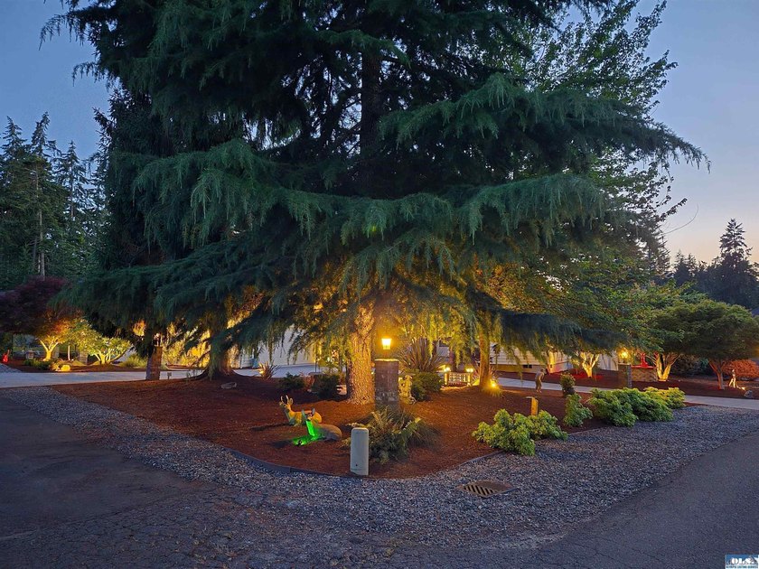 A perfect blend of space and community, this well maintained - photo 41