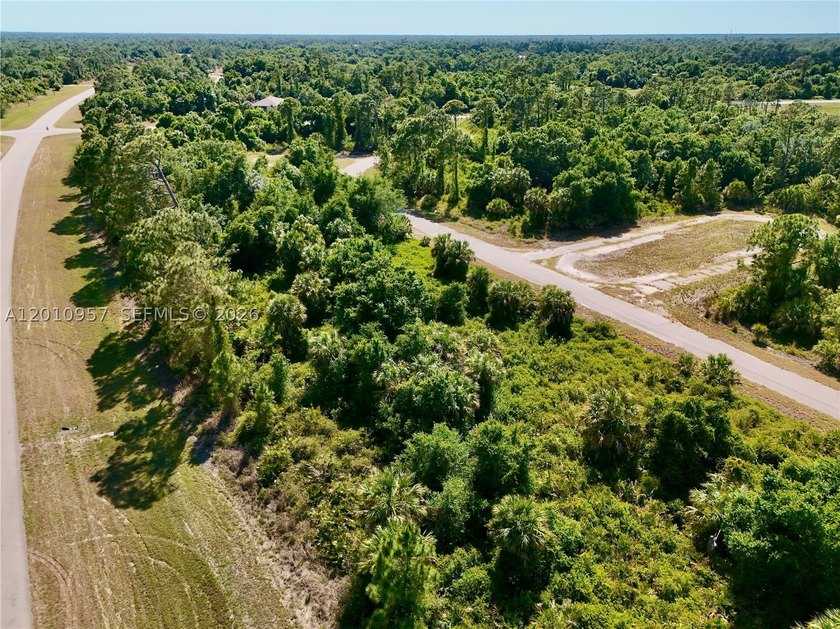 Introducing a fantastic opportunity to own a piece of vacant - photo 22