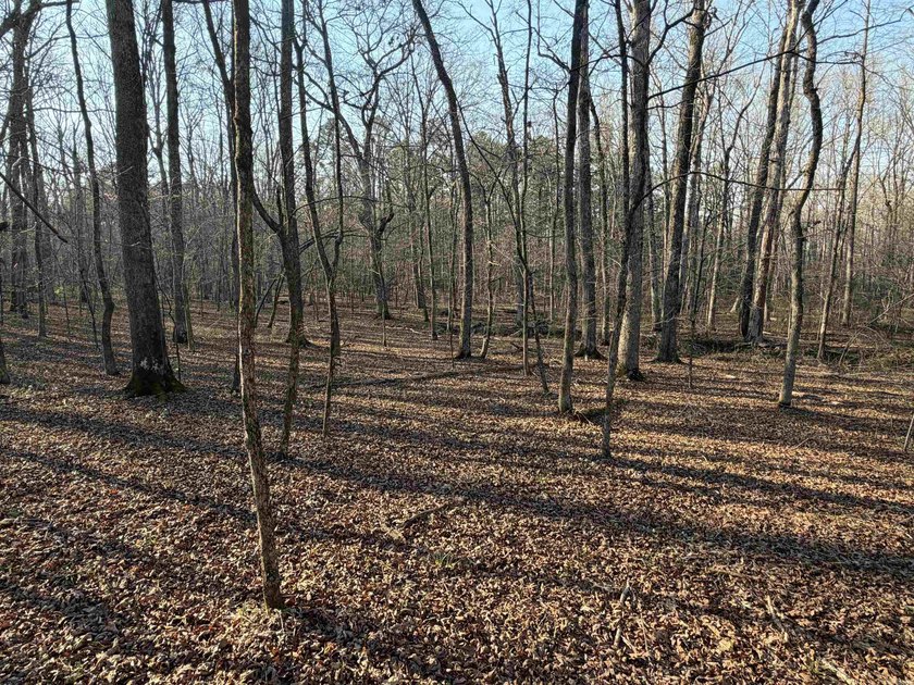 Escape to the natural beauty of the Ozarks with this 16.55+/- - photo 4