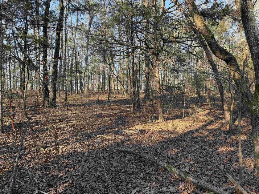 Escape to the natural beauty of the Ozarks with this 16.55+/- - photo 8