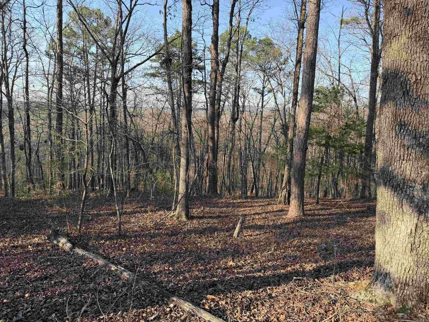 Escape to the natural beauty of the Ozarks with this 16.55+/- - photo 9