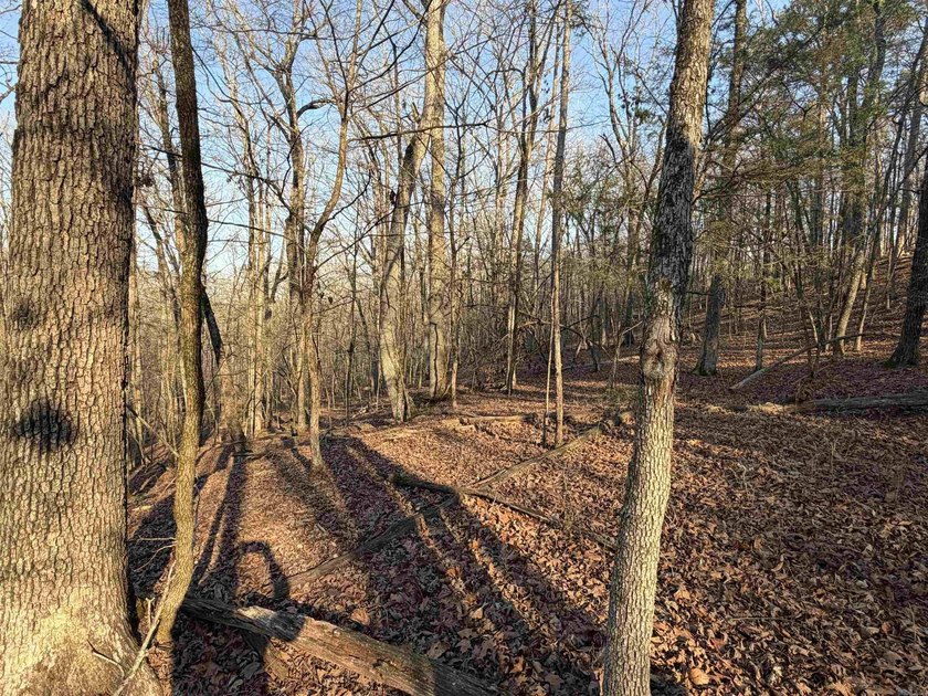 Escape to the natural beauty of the Ozarks with this 16.55+/- - photo 10