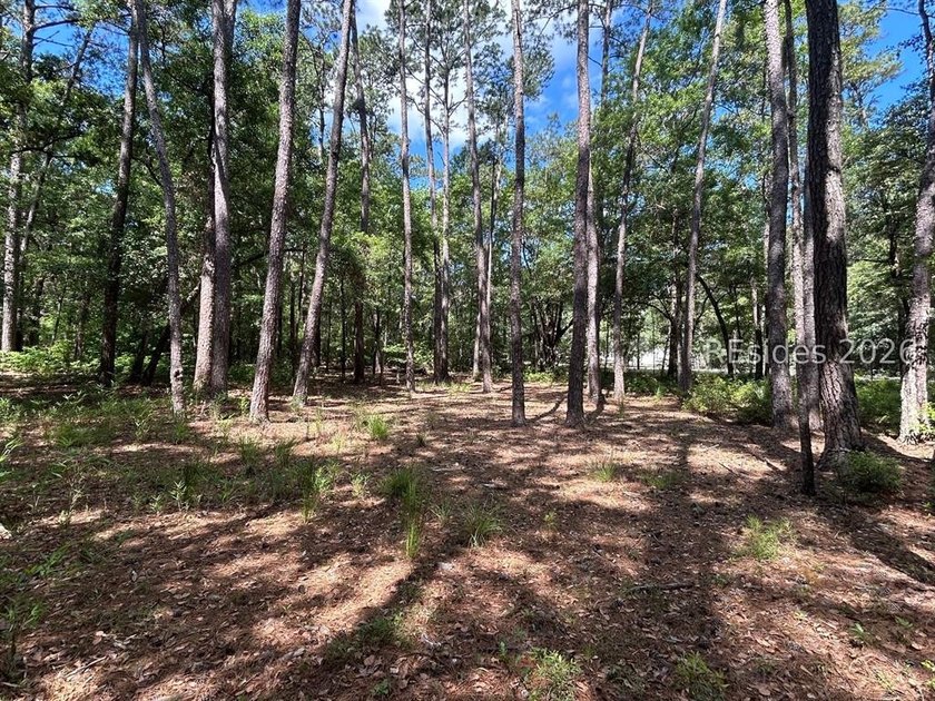 If you're looking for your piece of Daufuskie with no POA fees - photo 3