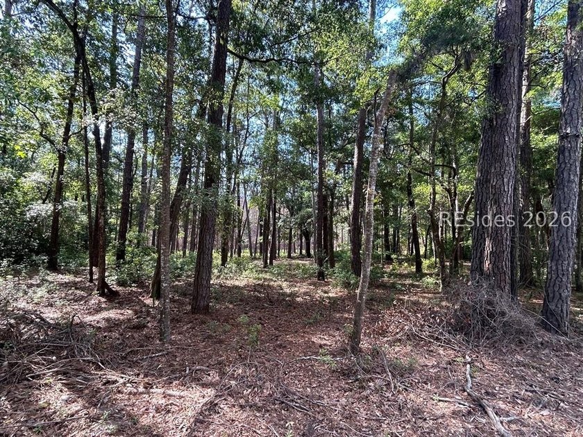 If you're looking for your piece of Daufuskie with no POA fees - photo 4