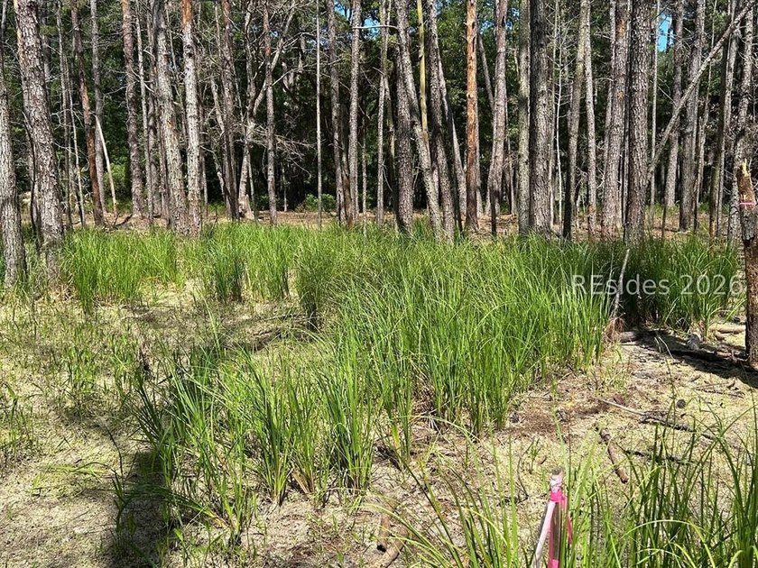 If you're looking for your piece of Daufuskie with no POA fees - photo 6