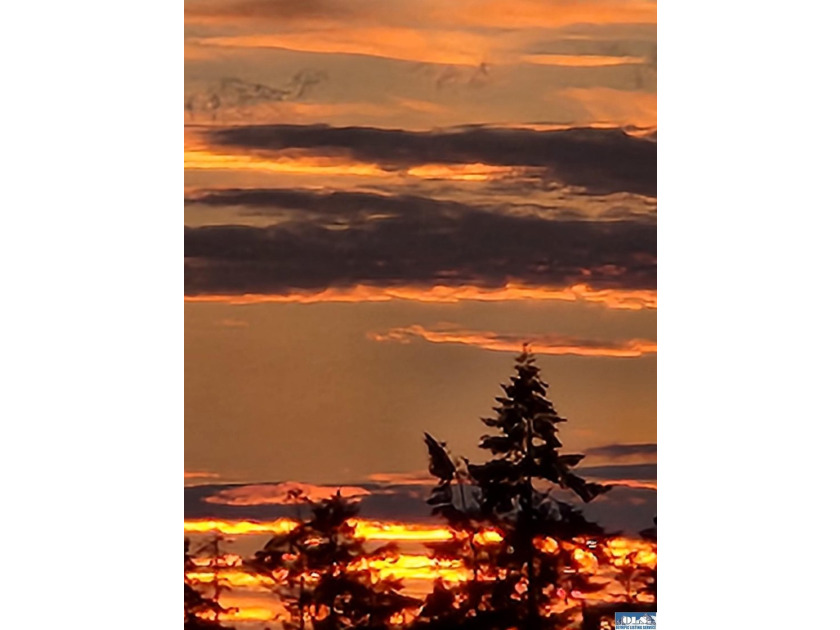 Perched above Sequim, this beautifully updated 3-bedroom, 2-bath - photo 46