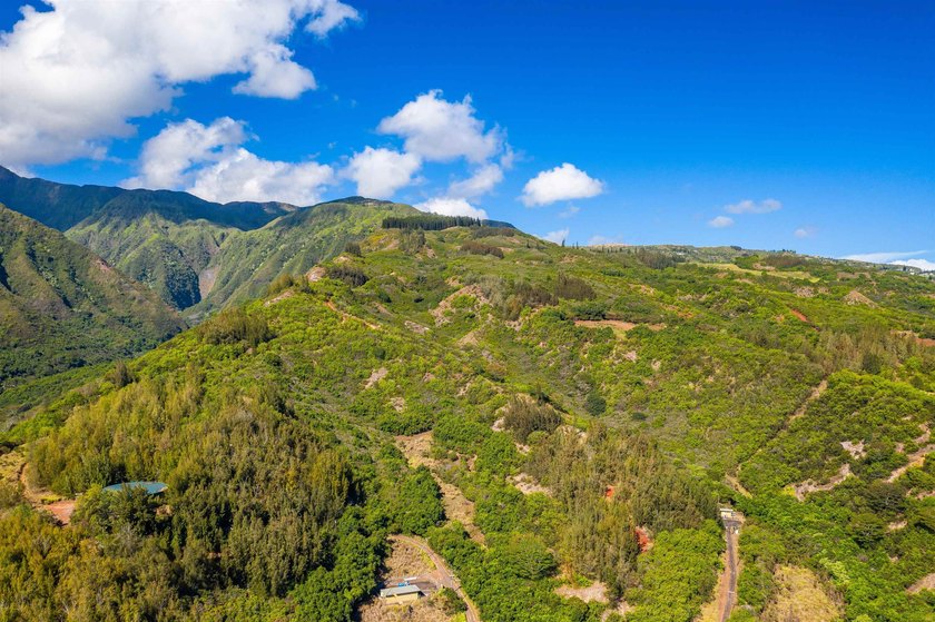 Pristine 370 acres located in Waihe'e Valley on the North Shore - photo 10
