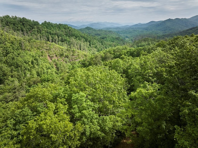 Nestled beside the Nantahala National Forest, this private - photo 13