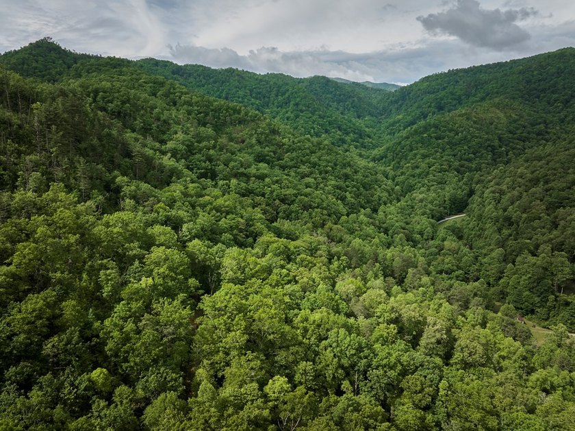 Nestled beside the Nantahala National Forest, this private - photo 14