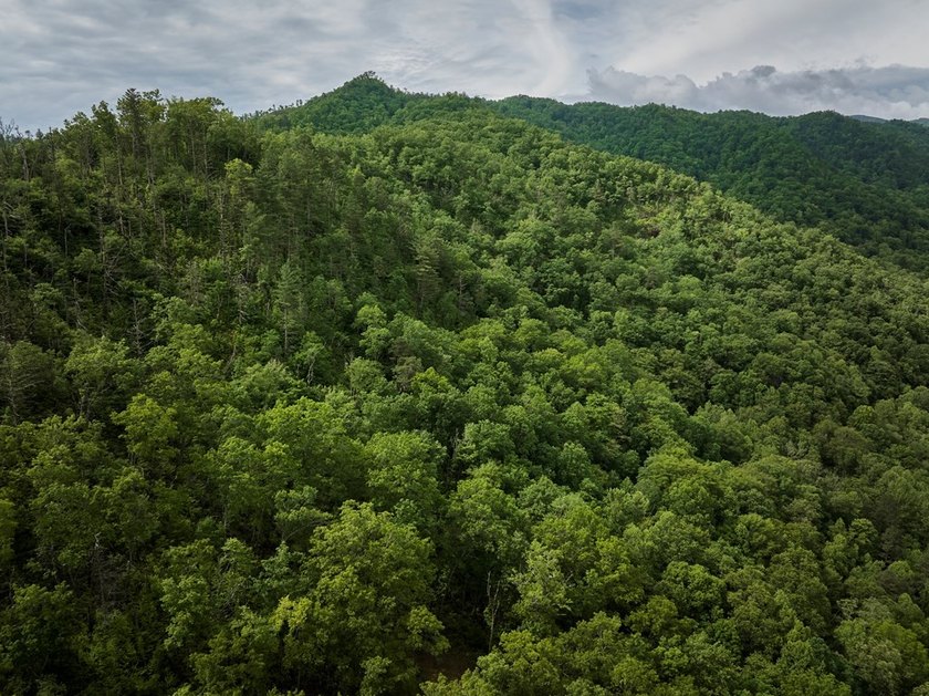 Nestled beside the Nantahala National Forest, this private - photo 16