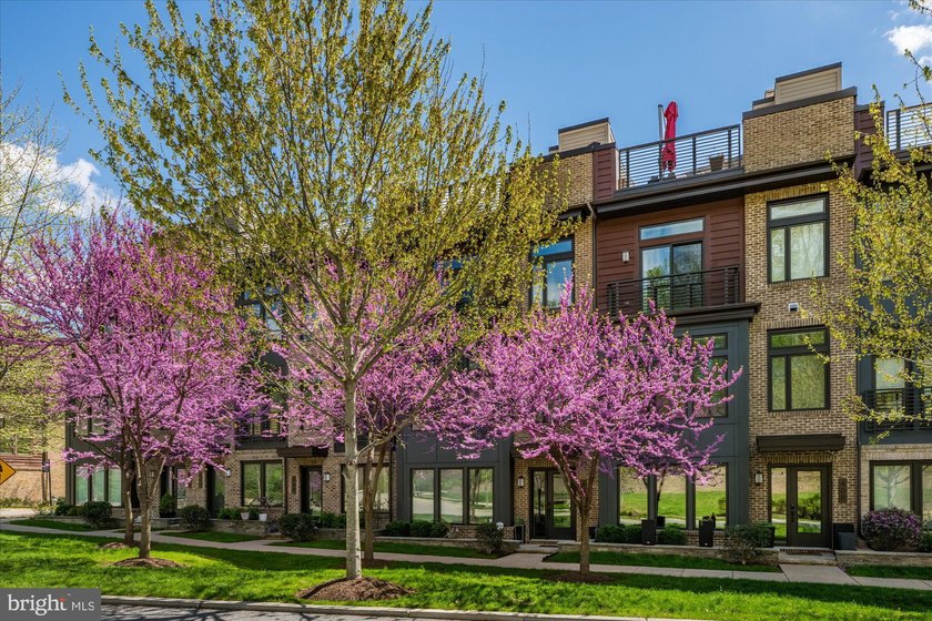 What an extraordinary value for an exceptional offering! Barlow - photo 2