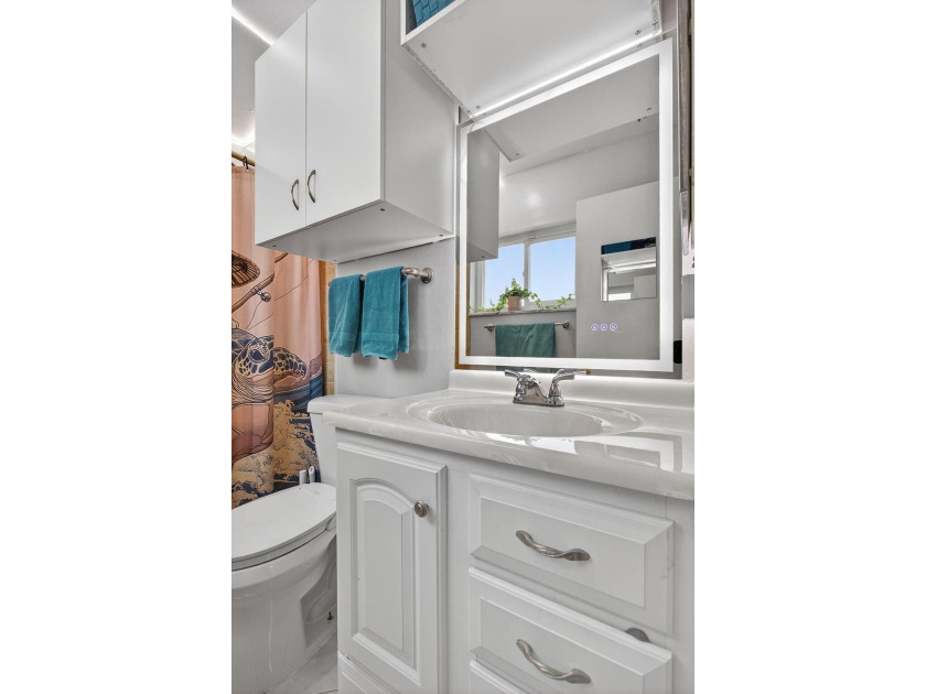 IMPACT WINDOWS- BRAND NEW KITCHEN! Welcome to this spacious and - photo 16