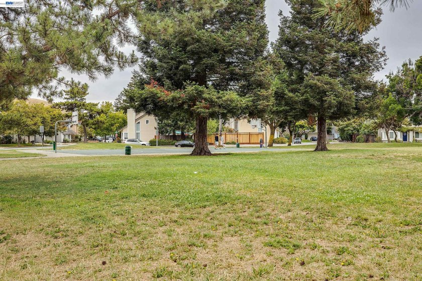 Gorgeous CA Terrace Park home in desirable Niles area! This move - photo 32