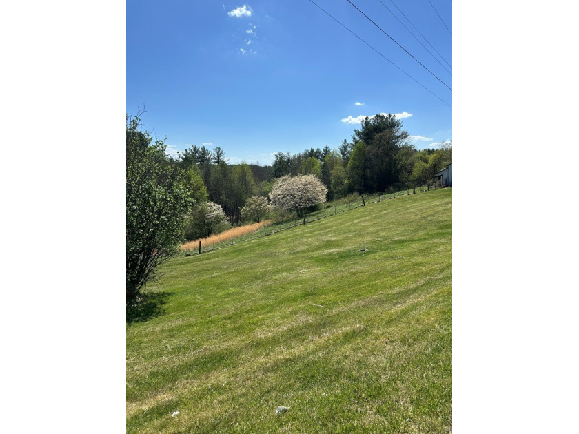 Cute Cottage on 4.59 ac with tons of potential for the buyer - photo 7