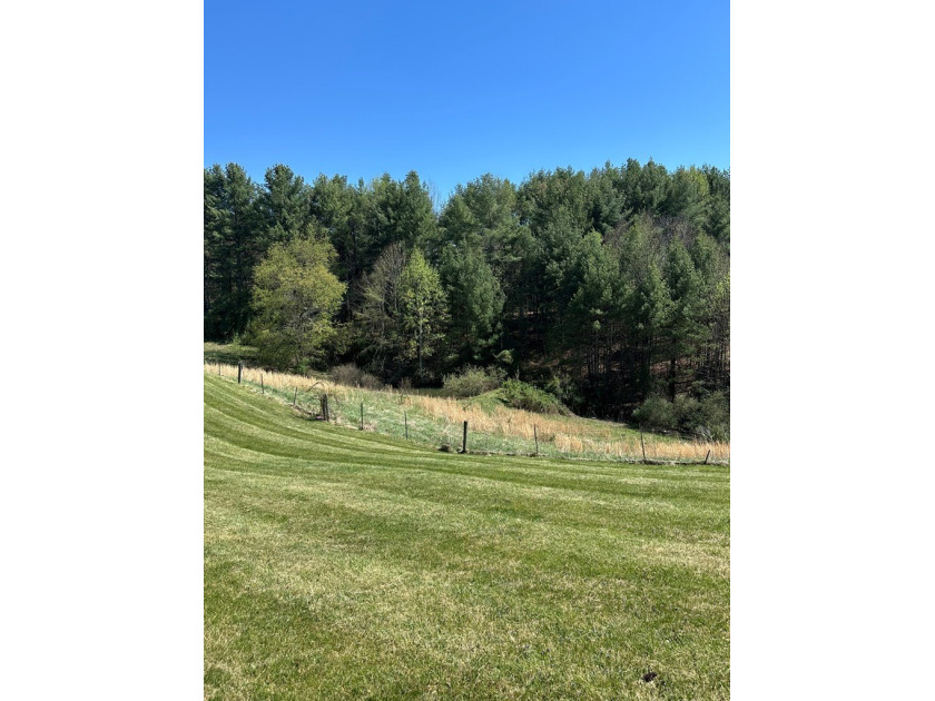 Cute Cottage on 4.59 ac with tons of potential for the buyer - photo 9
